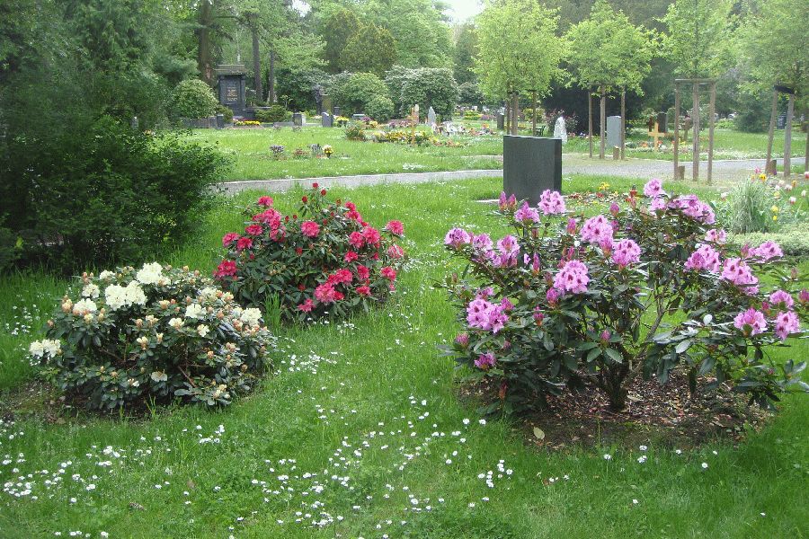 Südfriedhofsimpression